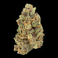 RAINBOW SHERBET (INDOOR)