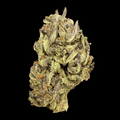 RAINBOW SHERBET
